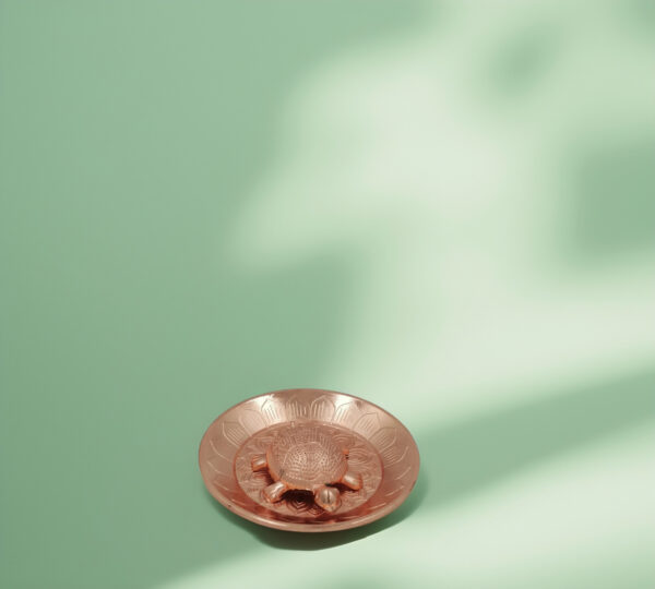 Golden Vastu Tortoise with Engraved Plate - Image 3