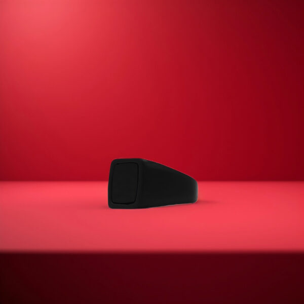 Shadow Monarch Dark Black Ring - Image 3